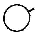 Exhaust Gas Recirculation (EGR) Pipe Seals