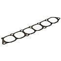 Stone Intake Plenum Gasket