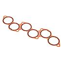 Nippon Reinz Intake Plenum Gasket