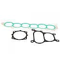 Intake Plenum Gasket