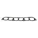 Intake Plenum Gasket