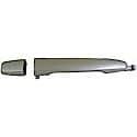 Exterior Door Handle, Painted Silver