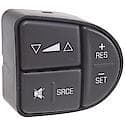 Cruise Control Switch