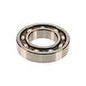 Axle Shaft Bearing