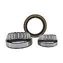 Ford F450/F550 Rear Axle Bearing And Seal Kit