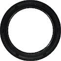 Engine Crankshaft Seal