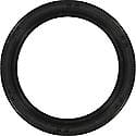 Engine Crankshaft Seal