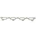 Exhaust Manifold Gasket