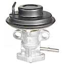 Exhaust Gas Recirculation (EGR) Valve