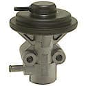 Exhaust Gas Recirculation (EGR) Valve