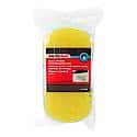 2-1 Cleaning Sponge with Detailing Fins