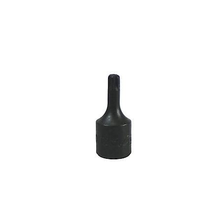 1/4in. Drive Torx Socket T-25