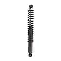 Complete Strut Assembly: Includes Strut, Coil Spring and Mount