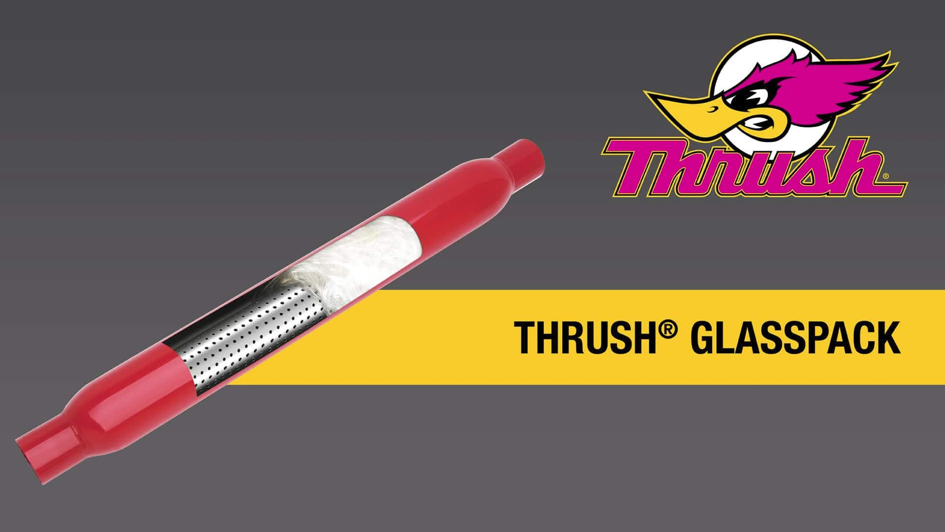 Sounds of Thrush Glasspack 