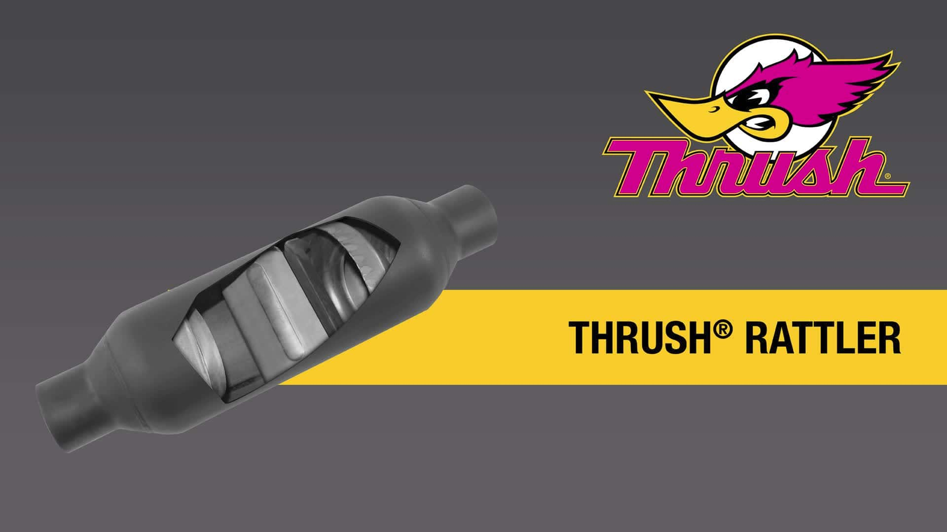 Thrush Rattler Muffler Sound 