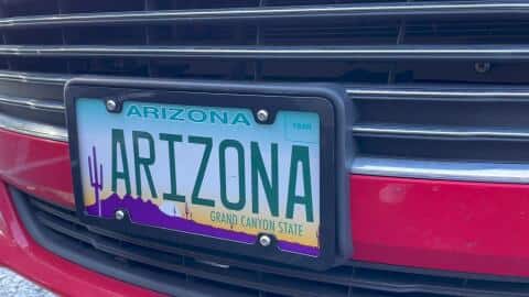 Cruiser Accessories Neo License Plate Frame 