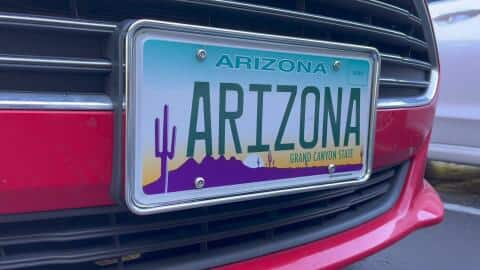 Cruiser Accessories Perimeter License Plate Frame 