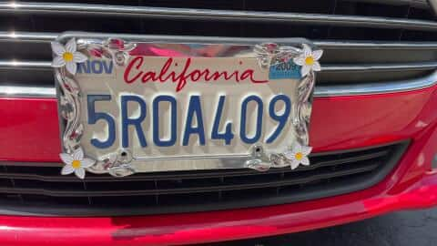 Cruiser Accessories Daisy License Plate Frame 