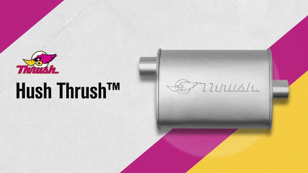 Hush Thrush Sound 