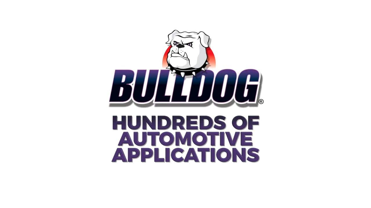 Bulldog Multi-Bond Adhesive 